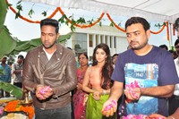 Sri Venkateswraswami Films Movie Opening Photos